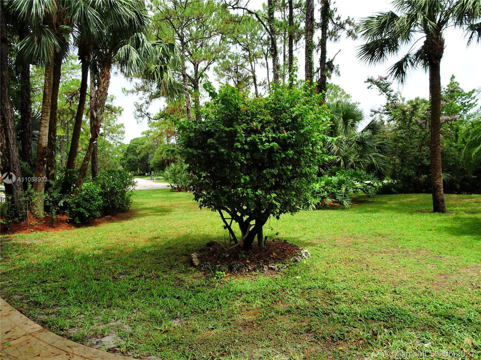 Front yard.  Mature landscaping everywhere you look.