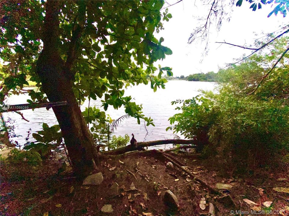 Backyard Lake Access