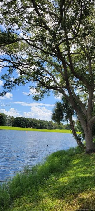 Recently Rented: $1,290 (1 beds, 1 baths, 620 Square Feet)