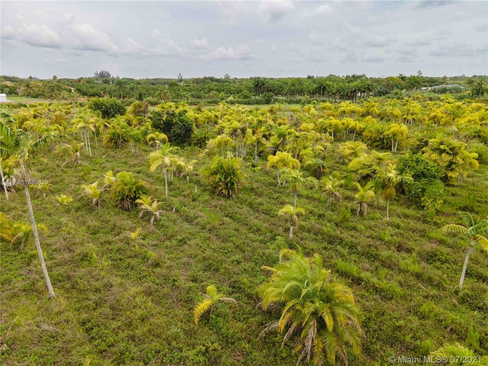 Недавно продано: $700,000 (4.55 acres)