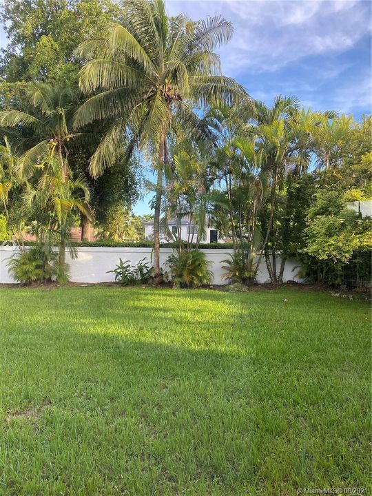 Back Yard