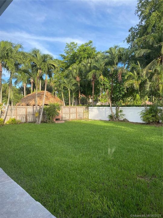 Back Yard