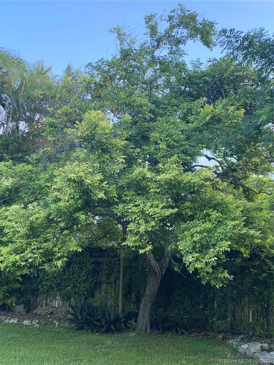 Recientemente alquilado: $4,400 (5 camas, 3 baños, 2701 Pies cuadrados)