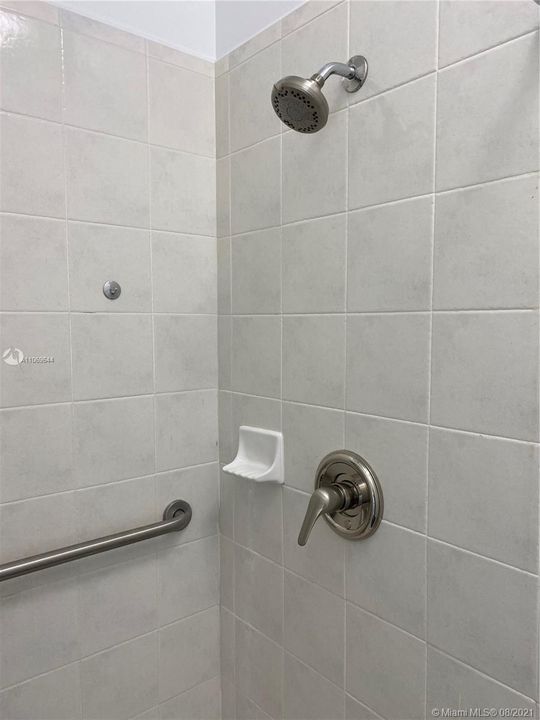 Downstairs Shower