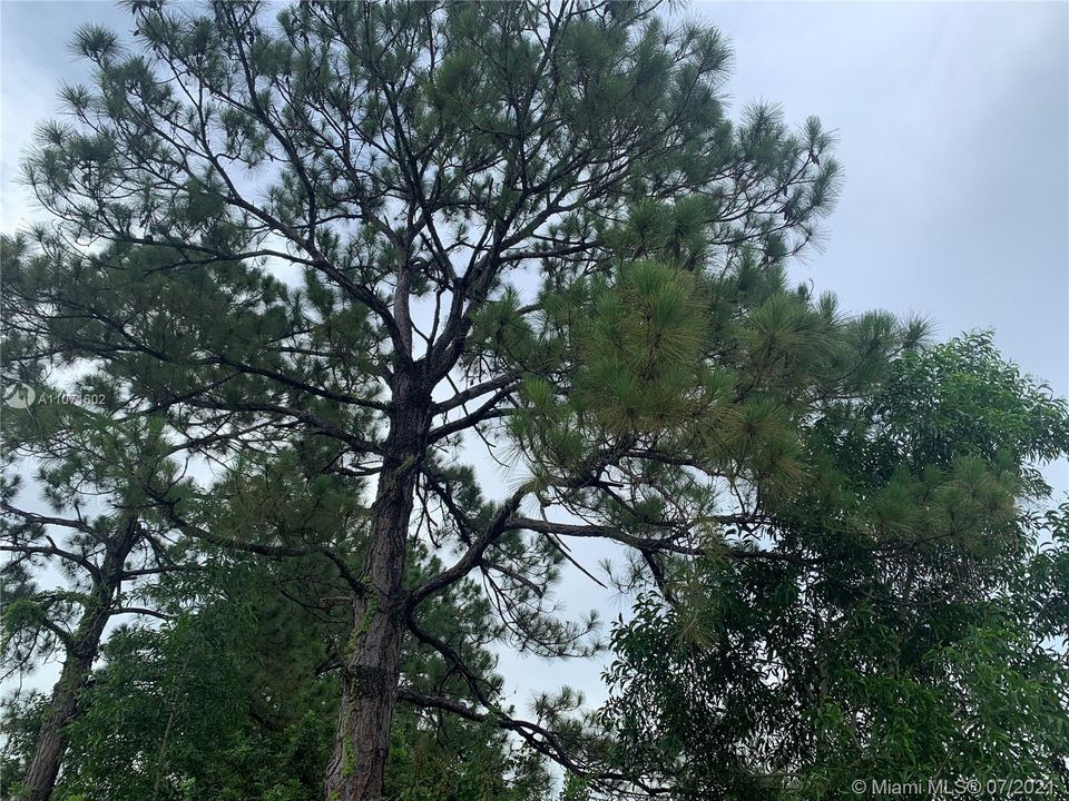 最近售出: $28,500 (10,000.00 acres)