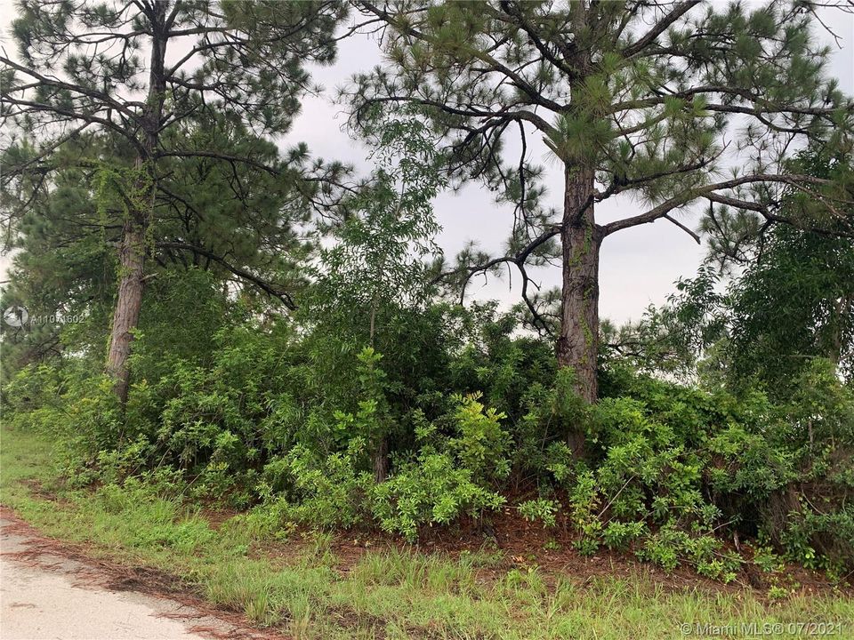 最近售出: $28,500 (10,000.00 acres)