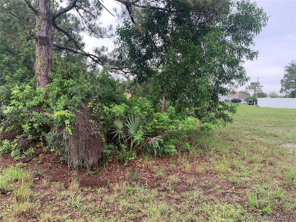 最近售出: $28,500 (10,000.00 acres)