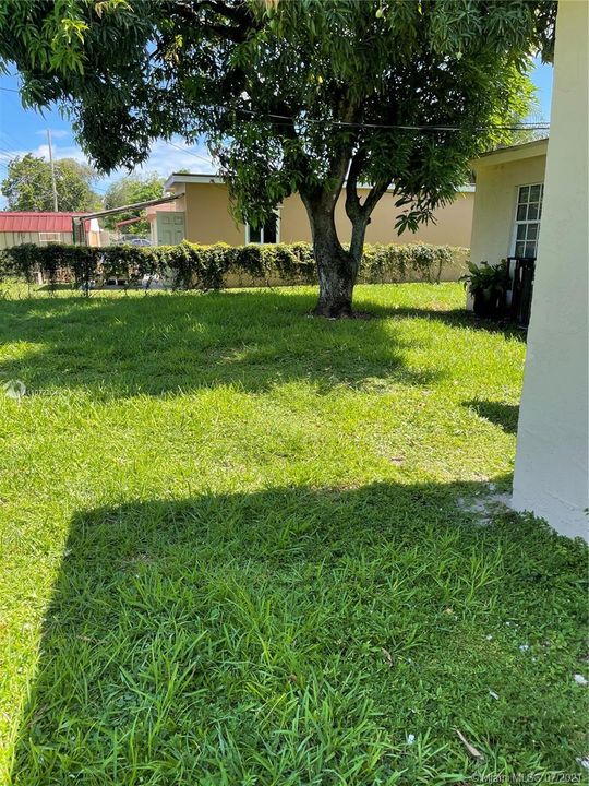 Back yard