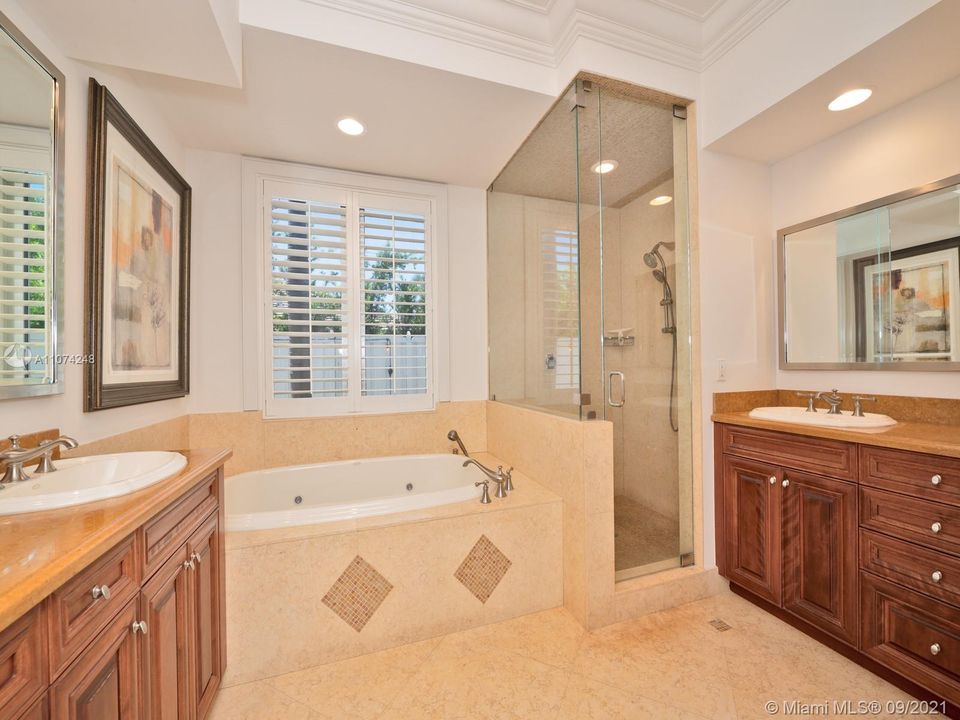 Master bath/ jacuzzi tub and steam shower too.