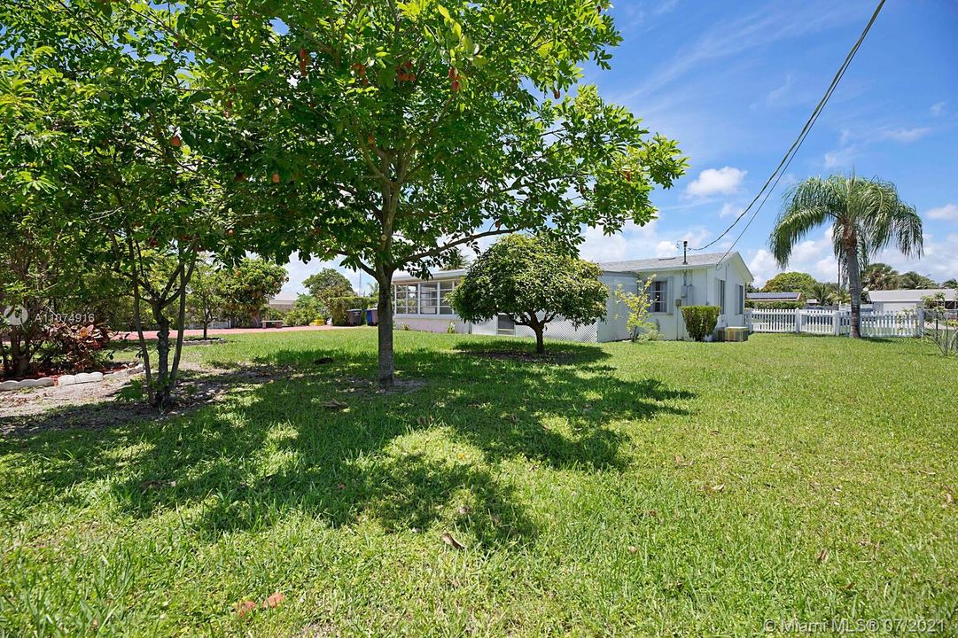 Fenced Yard with Fruit Trees