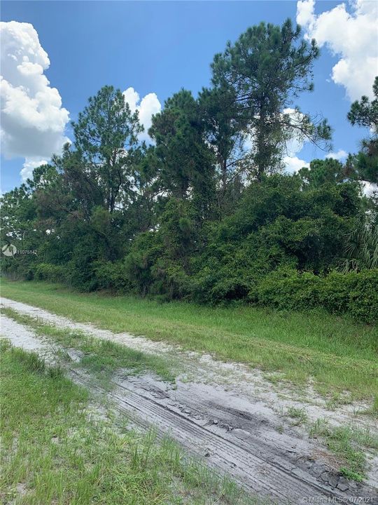 Recently Sold: $33,000 (1.07 acres)