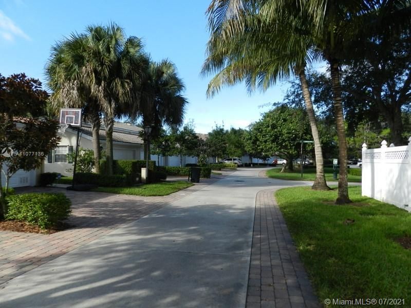 Street in the Back of House