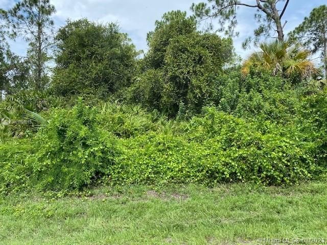 Recently Sold: $25,000 (0.23 acres)