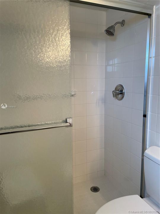 Master Bath Shower w/Handrail