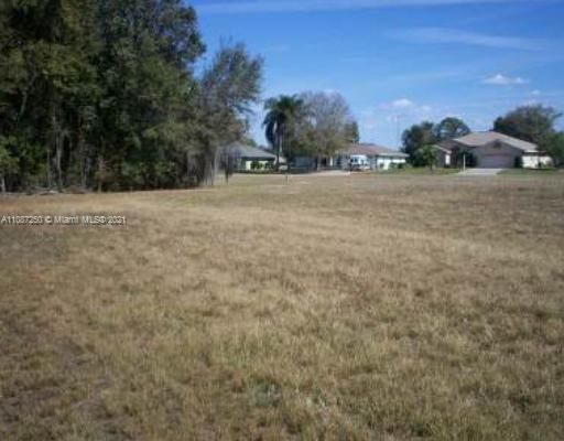 ANOTHER VACANT  LOT VIEW