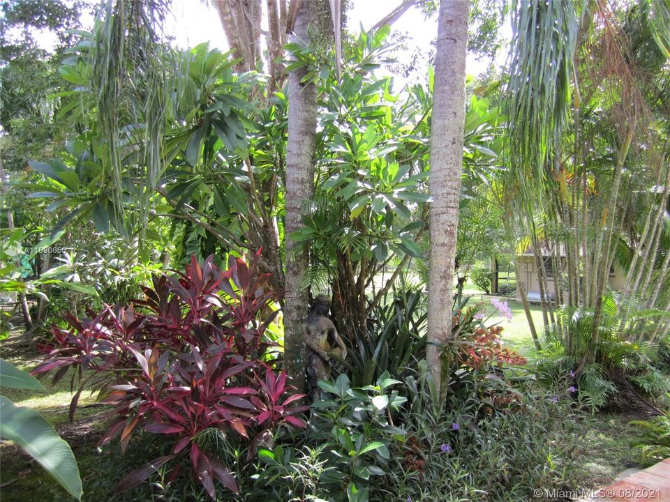 Recientemente alquilado: $1,300 (1 camas, 1 baños, 650 Pies cuadrados)