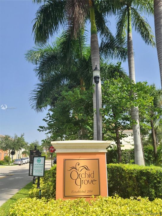 Orchid Grove