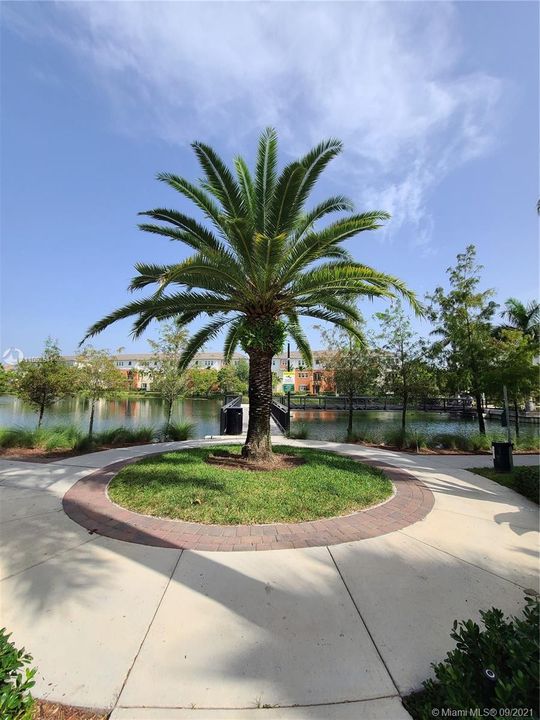 walking & jogging path, dog path