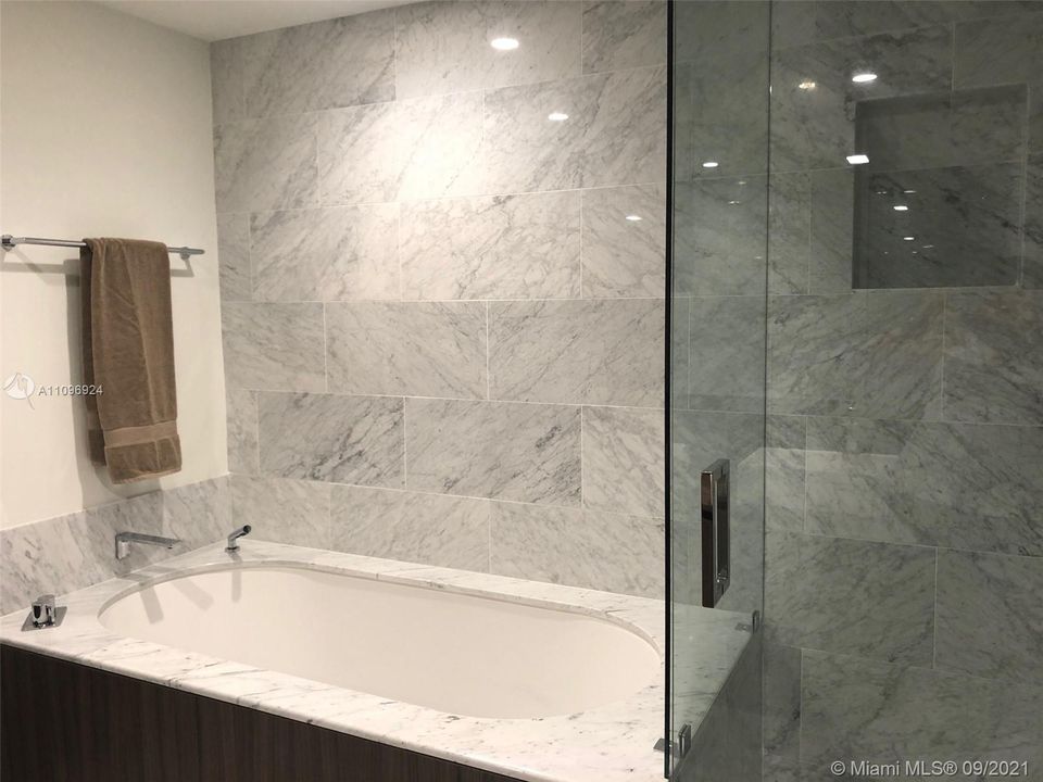 Master Bath and Separate Shower