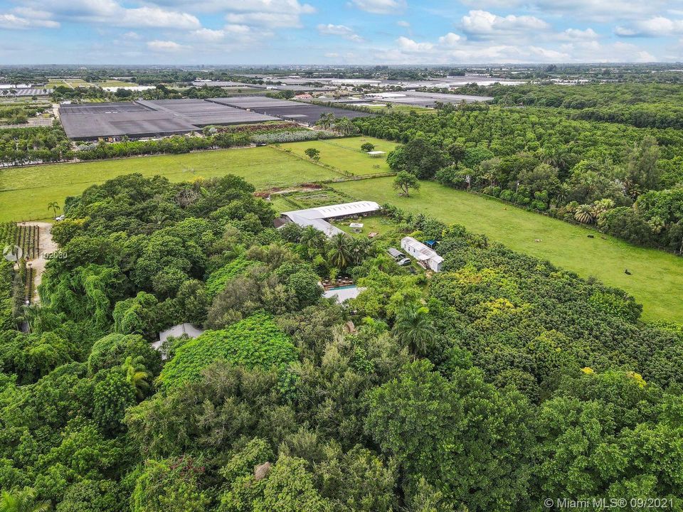 a canopy of large established trees are common in area. the neighboring 7 acres of clear farmland adjacent listed are also for sale with another agent