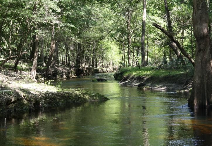 Nearby - Suwannee River State Park