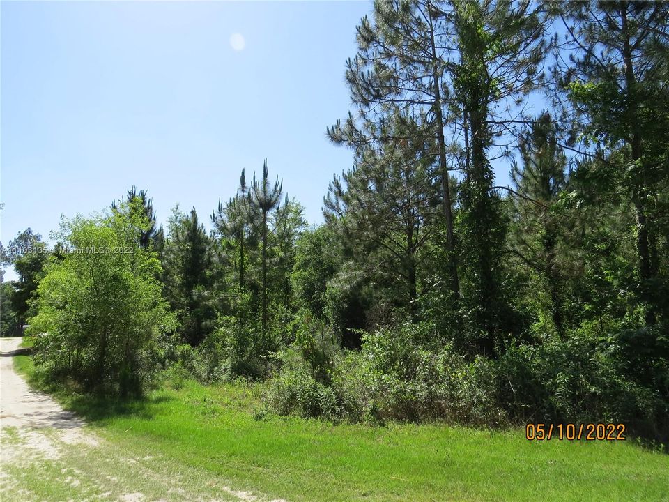 Recently Sold: $33,500 (4.00 acres)