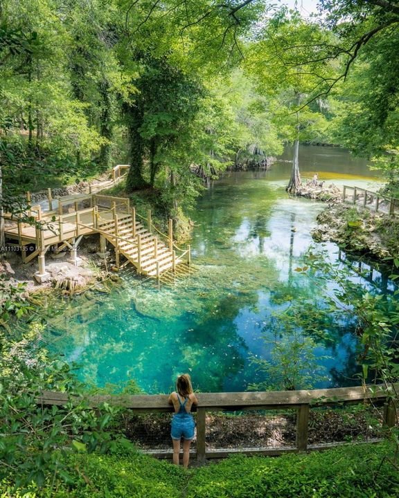 Nearby - Blue Springs State Park