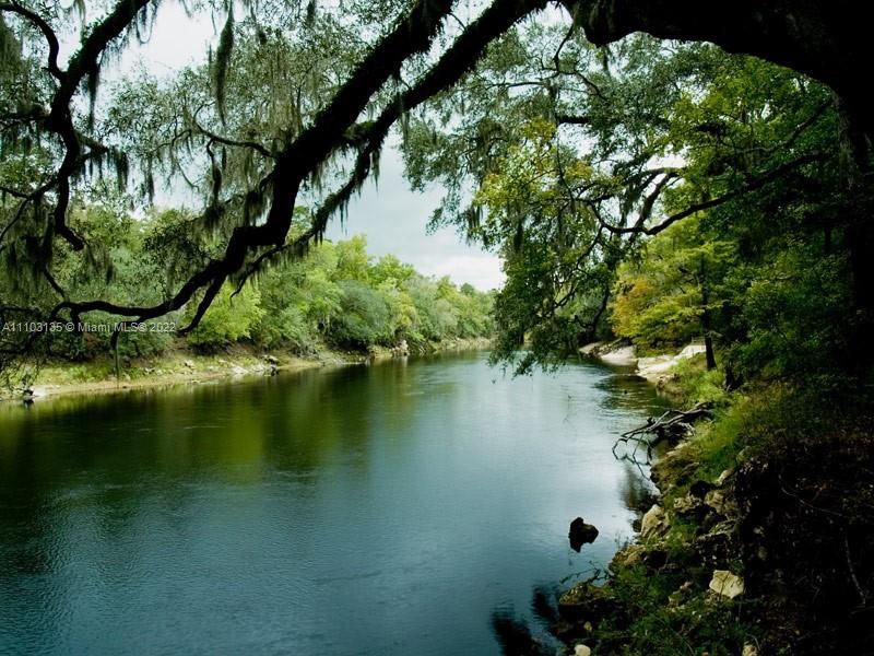 Nearby Suwannee River State Park