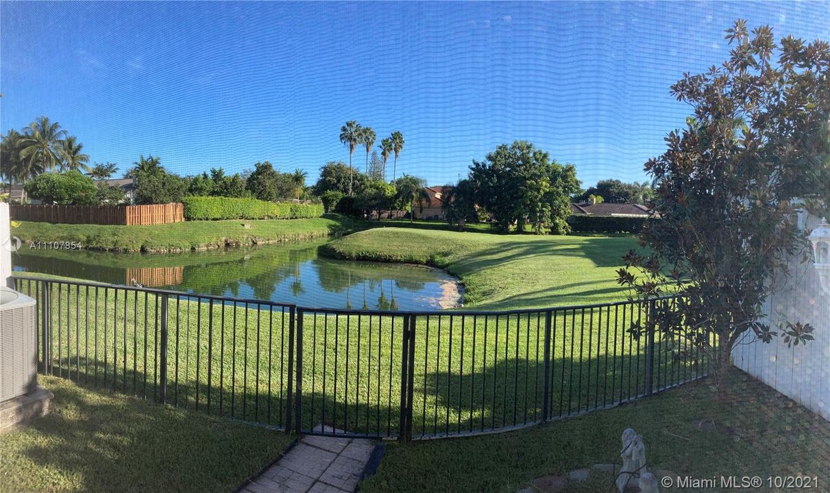 View of green area and canal