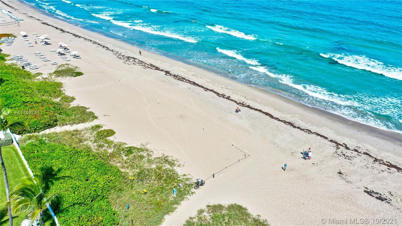 最近售出: $265,000 (1 贝兹, 1 浴室, 858 平方英尺)