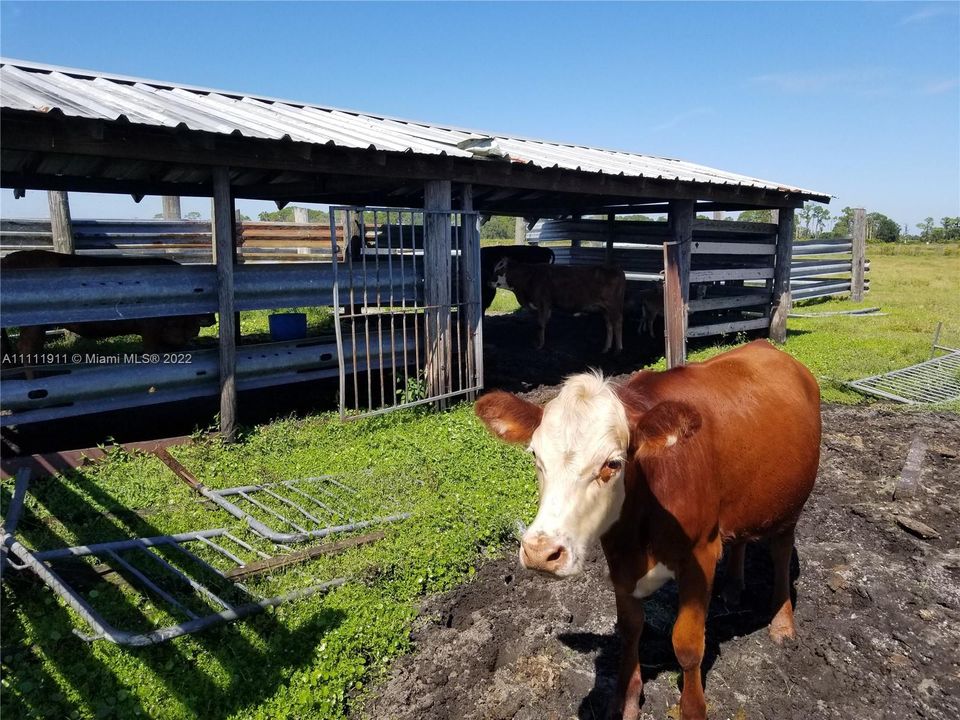 Vendido Recientemente: $195,000 (0 camas, 0 baños, 0 Pies cuadrados)