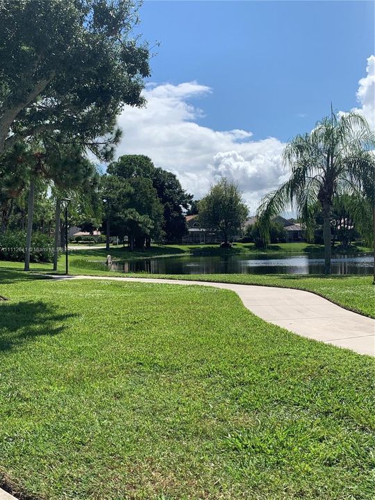Lake view across from property