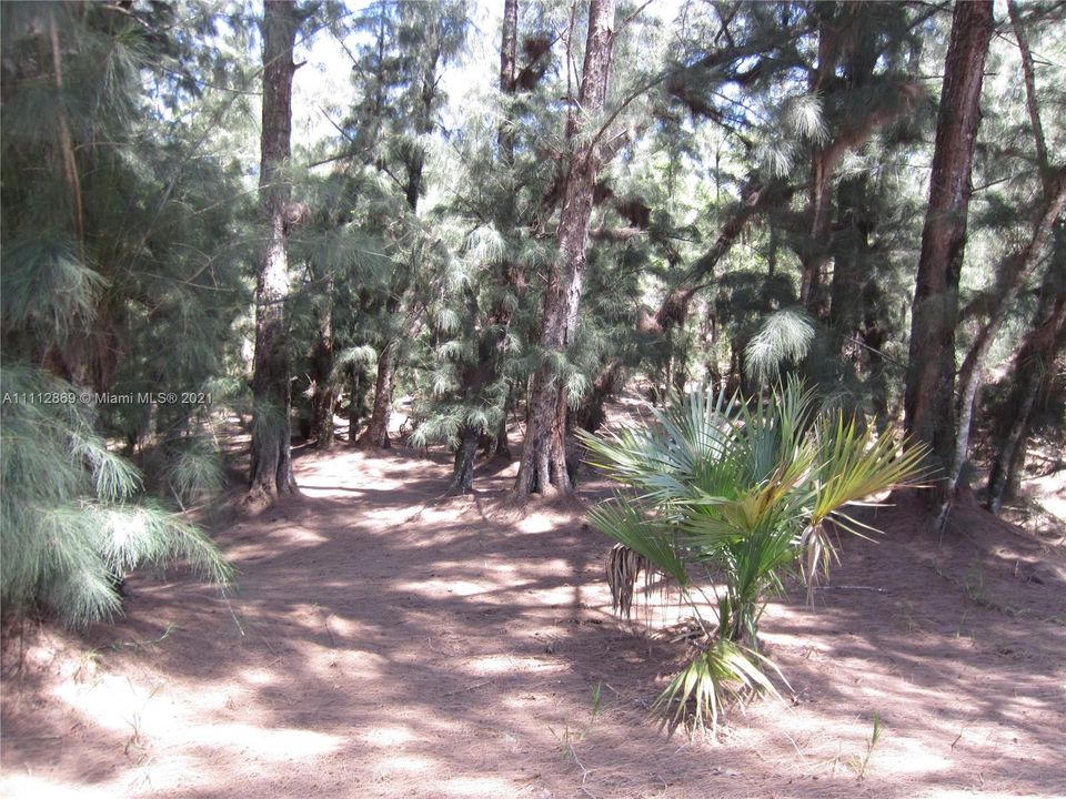 Vendido Recientemente: $299,999 (2.18 acres)