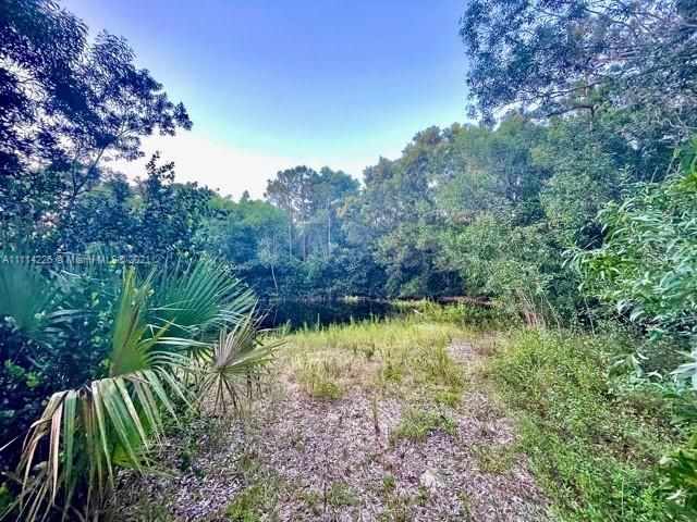 Vendido Recientemente: $249,000 (1.60 acres)