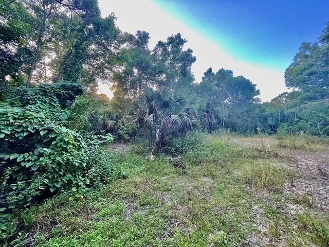 Vendido Recientemente: $249,000 (1.60 acres)