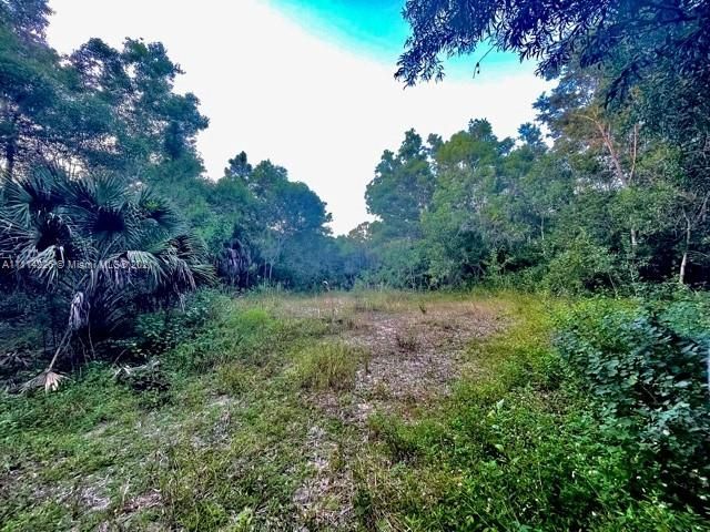 Recently Sold: $249,000 (1.60 acres)