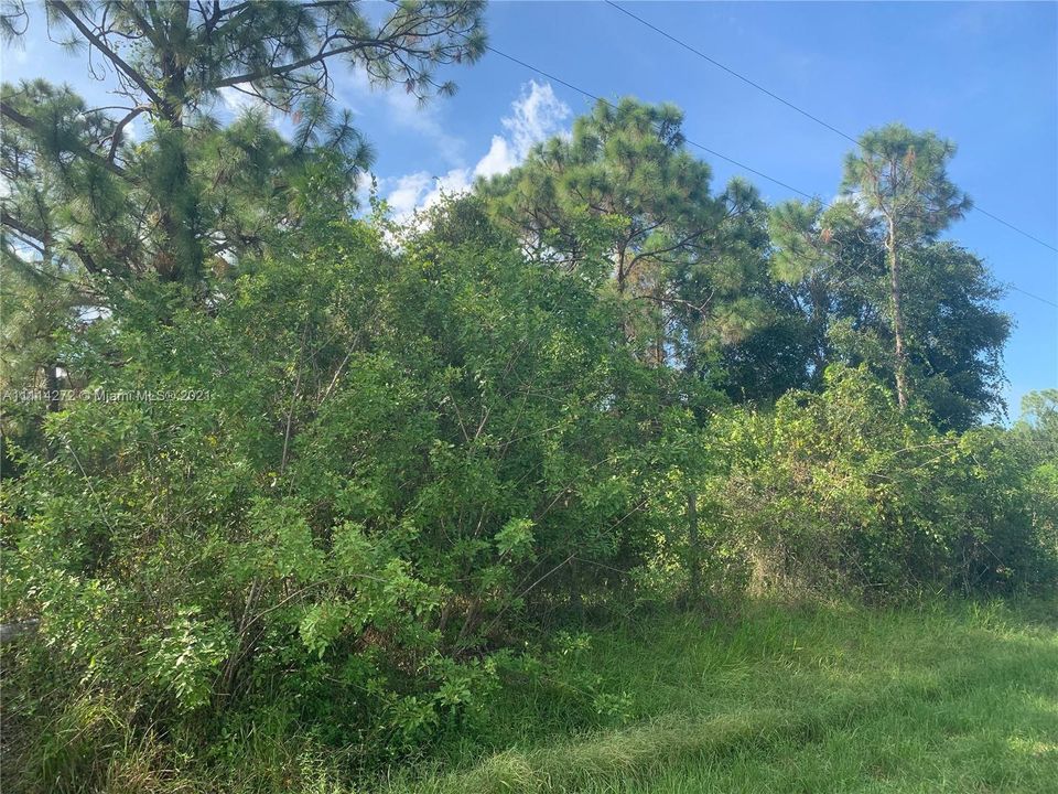 Recently Sold: $45,000 (1.25 acres)