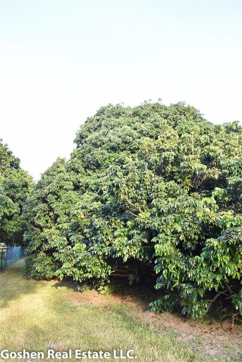最近售出: $489,000 (0.92 acres)