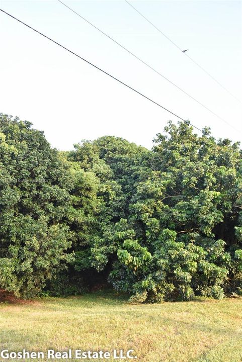 最近售出: $489,000 (0.92 acres)