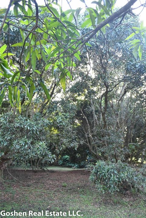 最近售出: $489,000 (0.92 acres)