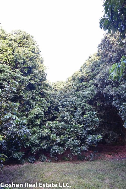 最近售出: $489,000 (0.92 acres)