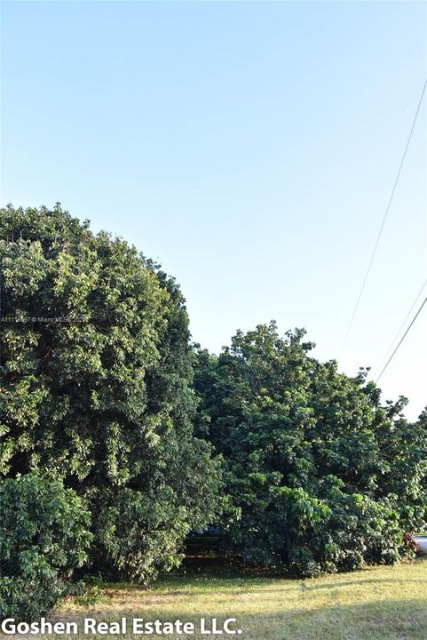 最近售出: $489,000 (0.92 acres)