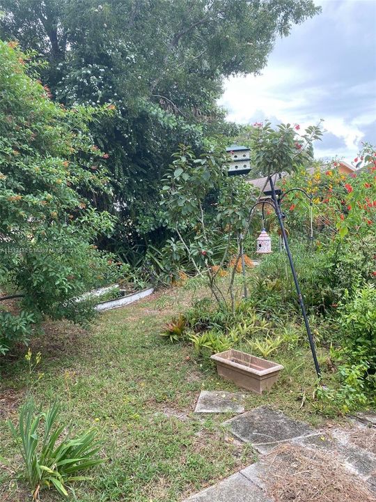 Yard