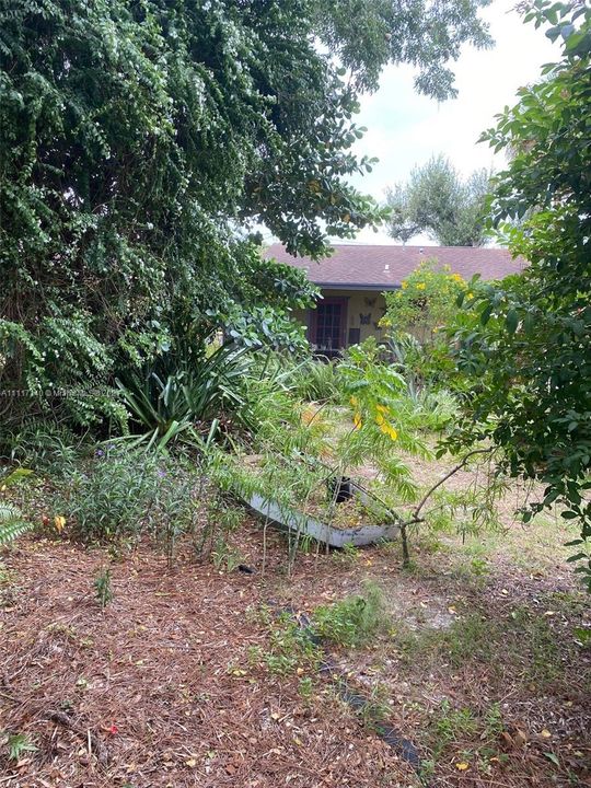 Large Lot