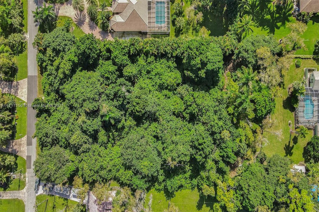 最近售出: $575,000 (1.25 acres)