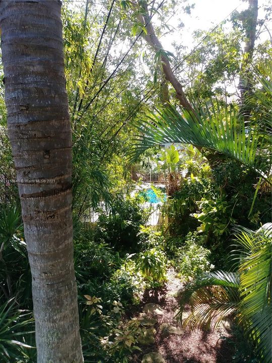 Garden and pool