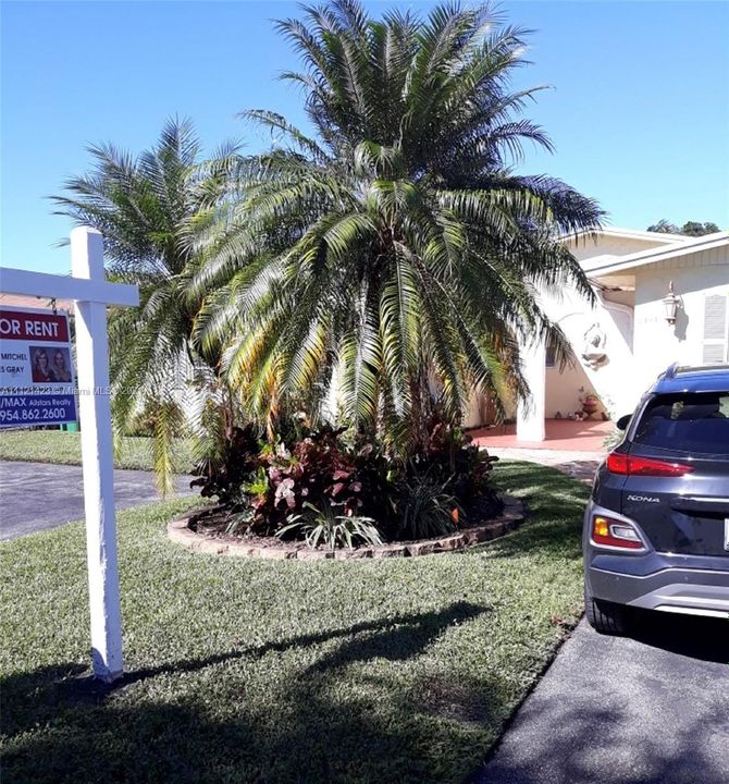 Recientemente alquilado: $2,500 (3 camas, 2 baños, 1175 Pies cuadrados)