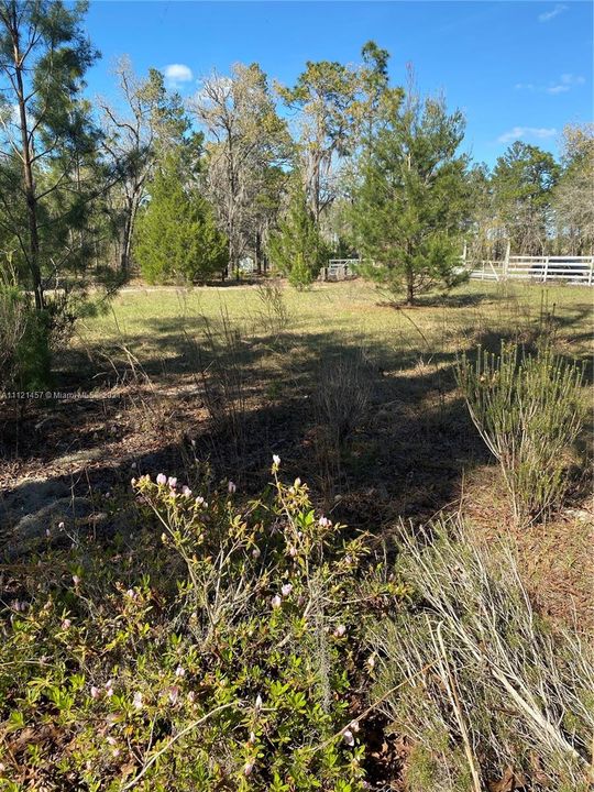 Recently Sold: $94,700 (1.15 acres)