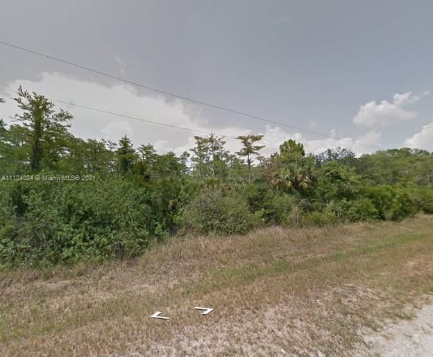 Vendido Recientemente: $28,000 (1.14 acres)