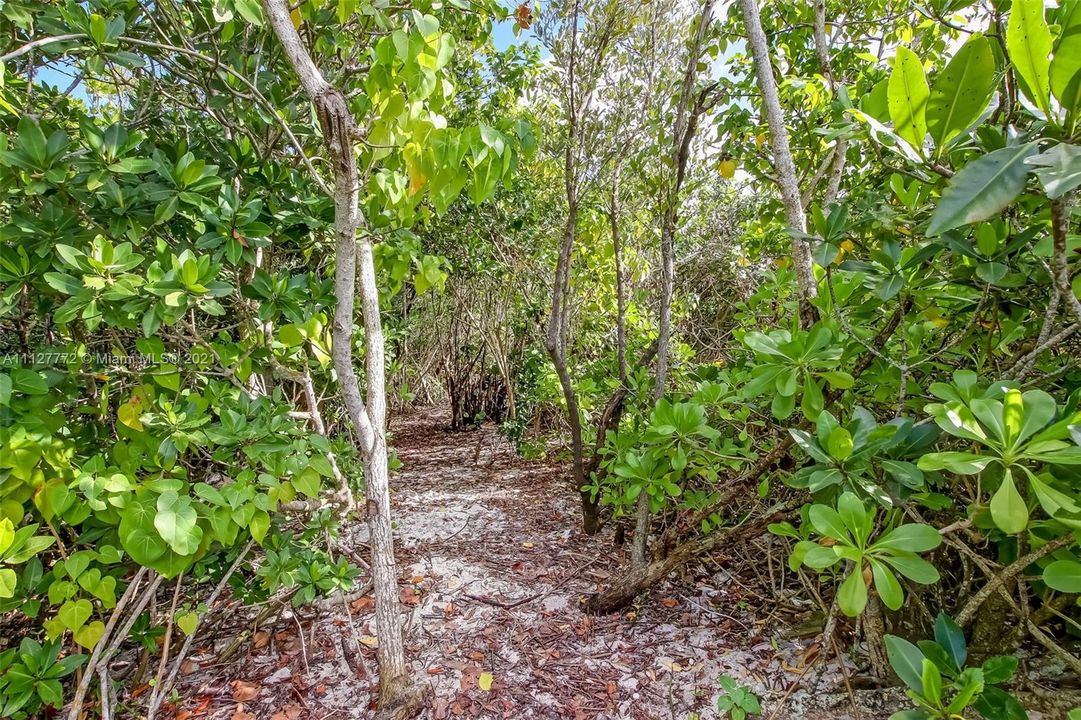 Nature trail.